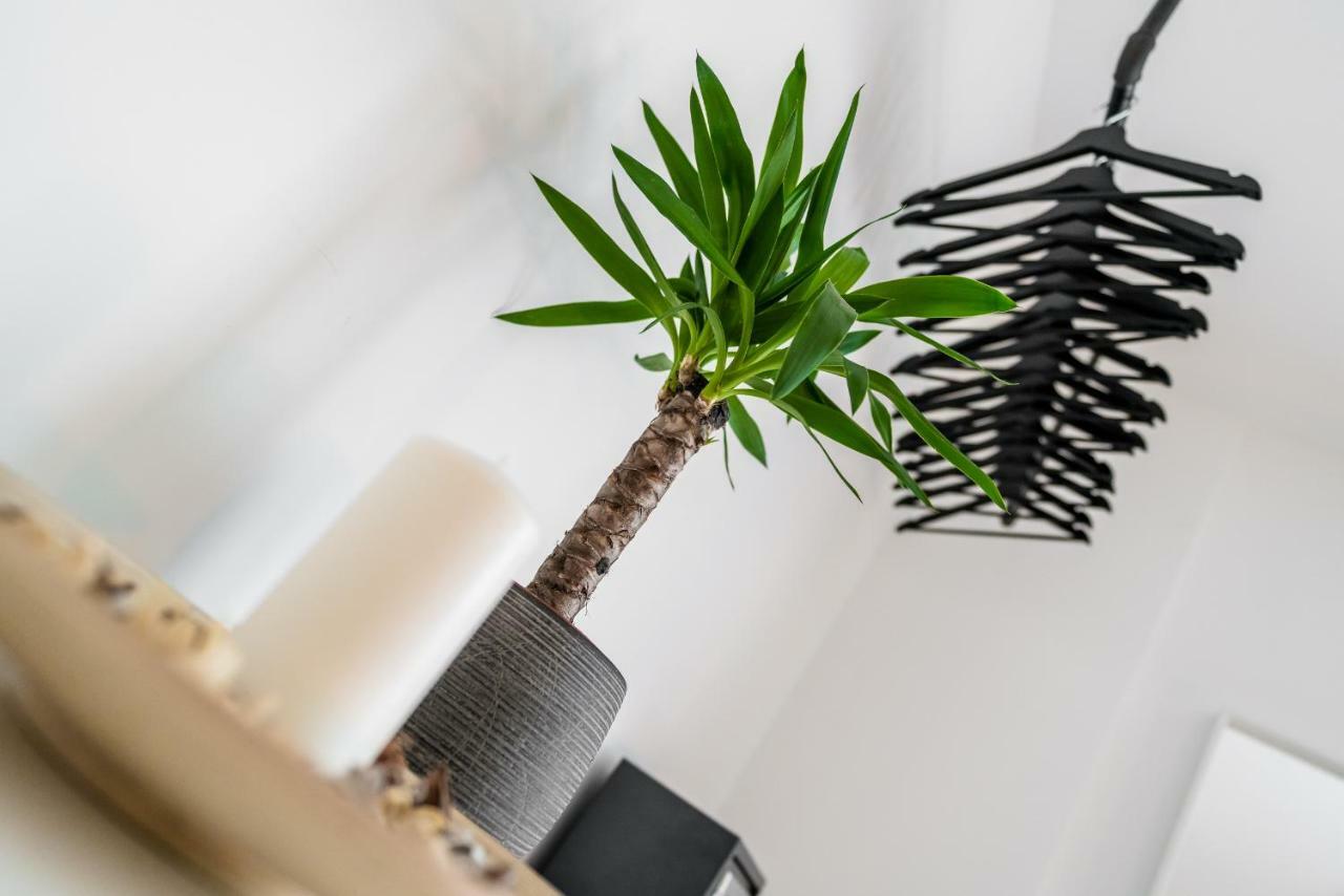 Centerapartments Marienstrasse Dusseldorf Ngoại thất bức ảnh